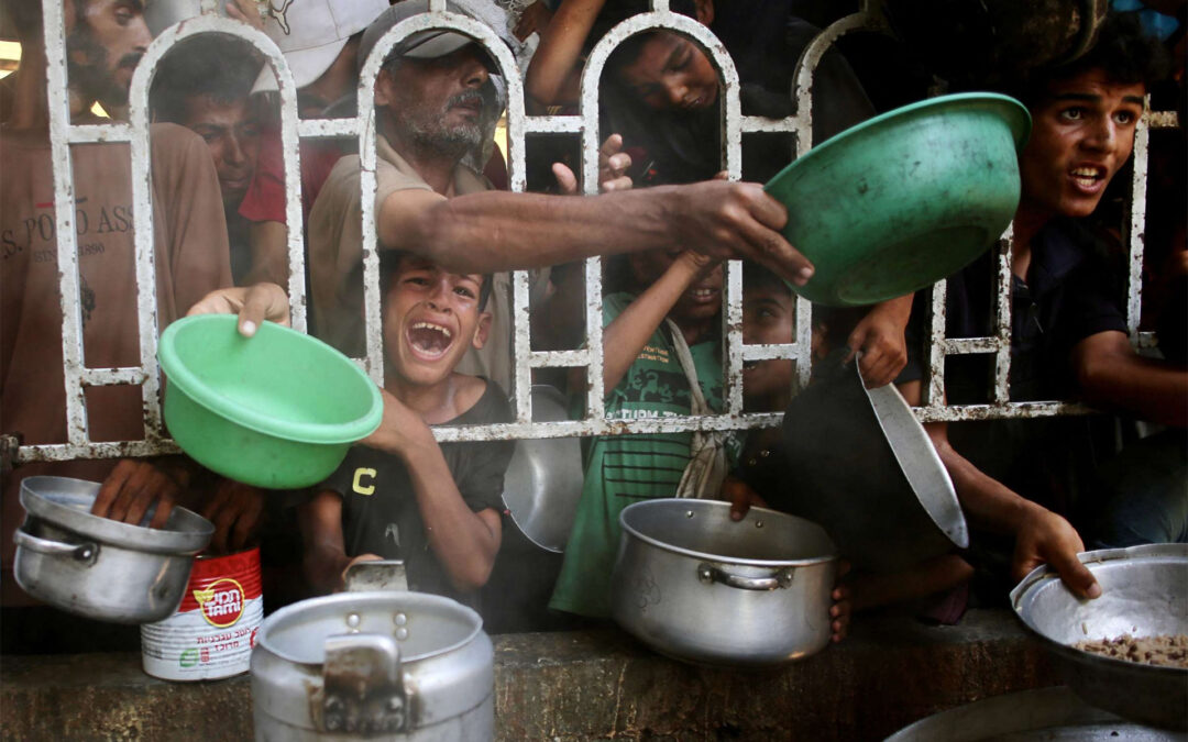 Þúsund drepin í matarleit – Heimildin