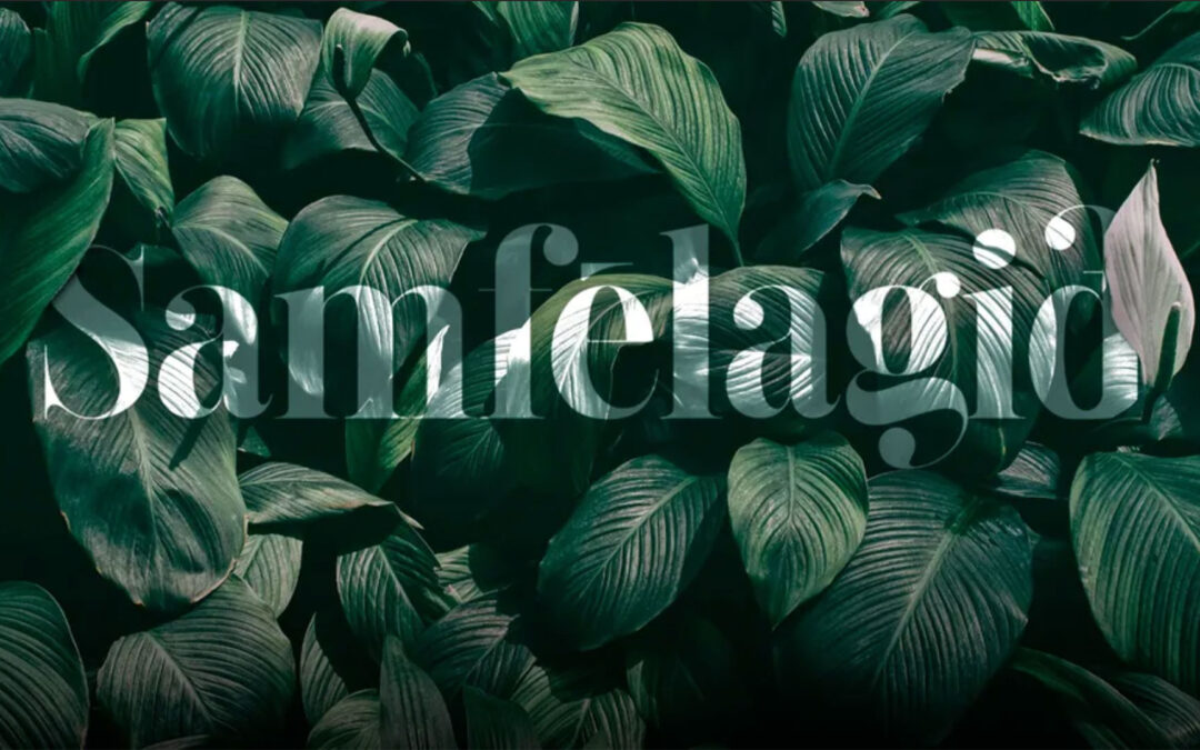 Kristín styður 37 fjölskyldur á Gaza