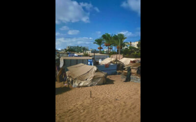 Until when will I remain a refugee in my own homeland?